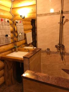 a bathroom with a sink and a shower at Cabana Adierea Vantului Bran in Bran