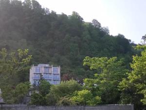 a building on the side of a mountain with trees at Hotel Kolkhi in Gonio