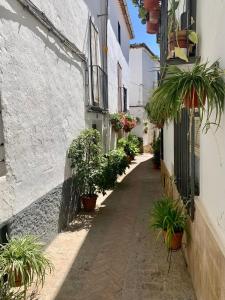 an alley with potted plants on the side of a building at Casa Enmedio in Iznatoraf