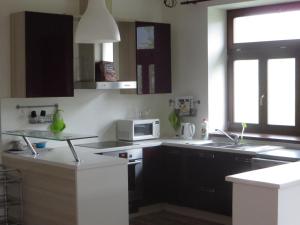 Kuchyňa alebo kuchynka v ubytovaní Rodinný penzion Jimramovské Pavlovice až 24 osob!