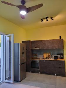 a kitchen with a refrigerator and a ceiling fan at Black Fig in Pollonia