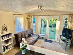 a living room with a couch and a tv at New Forest Hideaway- Self Catering Accommodation in Newbridge
