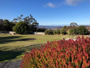 a garden with red flowers in a field at Montrose holiday cottage in Rosetta