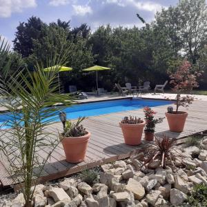 - une piscine avec des plantes en pot sur une terrasse en bois dans l'établissement Gite de Saint Florent - Piscine & Spa, à La Charrière