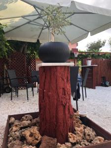 A patio or other outdoor area at Plaisir Rooms