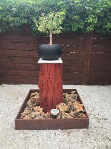 A garden outside Plaisir Rooms