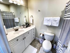 a bathroom with a sink and a toilet and a mirror at *Stylish* Luxury Suite Near Historic Downtown in Charleston