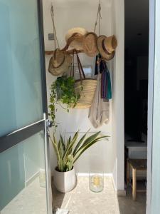 a hallway with a plant and straw hats on a wall at Ponent Formentera in La Savina