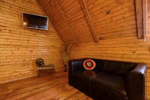 a living room with a leather couch and a television at Etno house Molendini in Rakovica