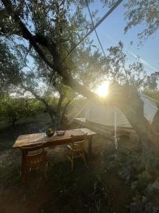 Sirbaggia glamping