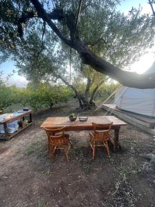 Sirbaggia glamping