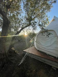 Sirbaggia glamping