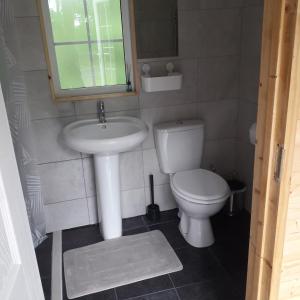 a small bathroom with a toilet and a sink at Dutchdream b&b logcabin in Eighter