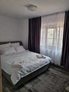 ein Schlafzimmer mit einem großen Bett und einem Fenster in der Unterkunft Anto1 in Călăraşi