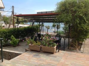 einen Pavillon mit Topfpflanzen auf einer Terrasse in der Unterkunft Morfeas Hotel in Chalkida