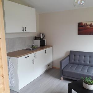 Kuchyň nebo kuchyňský kout v ubytování Dutchdream b&b logcabin