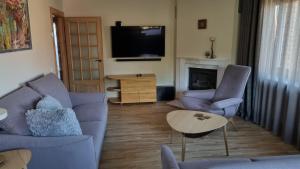 TV a/nebo společenská místnost v ubytování Apartamentai Dana