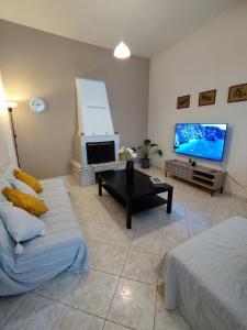 sala de estar con sofá y TV de pantalla plana en Sette Isole Countryside Apartment en Athánion