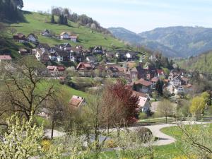 un pueblo en una colina con casas y árboles en Ferienhaus Lena, en Seebach