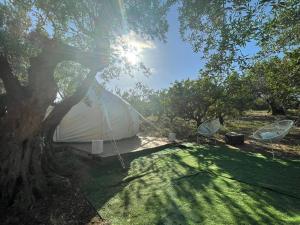 Sirbaggia glamping