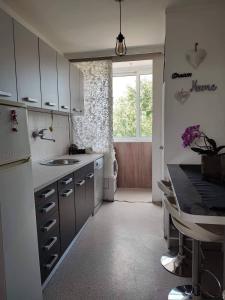 Kuchyň nebo kuchyňský kout v ubytování Apartman Joy