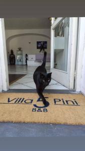 un chat noir debout sur un tapis devant une porte dans l'établissement Villa Cinque Pini, à Ischia