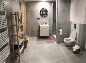 Koupelna v ubytování Soukromý pokoj s kuchyní a koupelnou v řadovce