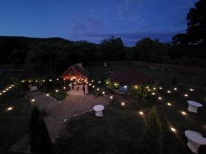 an overhead view of a garden at night with lights at Pensiunea Elena in Criţ