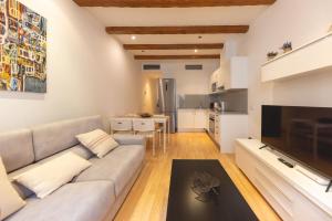 a living room with a couch and a tv at Bravissimo Plaça dels Raïms in Girona