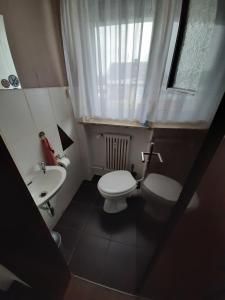 奈拉的住宿－Ferienwohnung Schmidt，一间带卫生间和水槽的小浴室