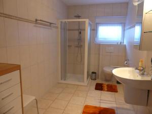un bagno con doccia, lavandino e WC di Schöne Ferienwohnung in Fischbach / Pfälzer Wald a Fischbach