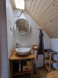 een badkamer met een wastafel en een spiegel bij Počitniška hišica Žagar in Podčetrtek