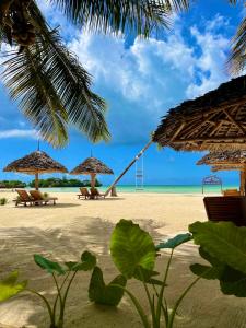 a beach with umbrellas and chairs and the ocean at Karibu Beach Resort - Adults Only in Pongwe