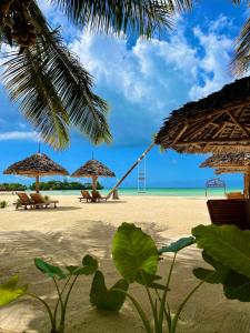 uma praia com guarda-sóis e cadeiras e o oceano em Karibu Beach Resort em Pongwe