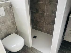 Un baño con inodoro y ducha en La villa Hérault, en Cholet 20 fotos más