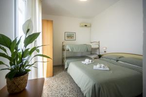 a bedroom with a bed and a potted plant at Hotel Mamy in Rimini