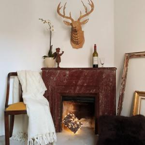 een woonkamer met een open haard met een hertenkop aan de muur bij PARIS AUTHENTIC HOUSE Métro Line 14 Station Hôpital Bicêtre, RER B Gentilly in Parijs +66 foto's