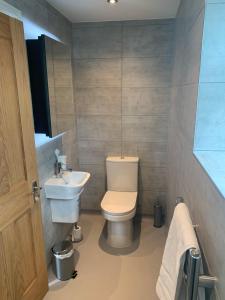 a bathroom with a toilet and a sink at Highfield Coach House in Lymington
