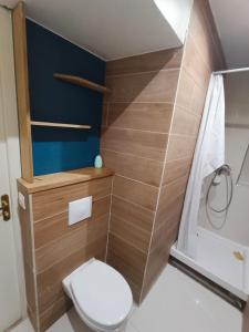 a small bathroom with a toilet and a shower at Tournan en Brie, centre ville, superbe appartement in Tournan-en-Brie