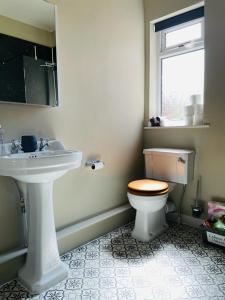a bathroom with a toilet and a sink at Church View in Bolton Percy