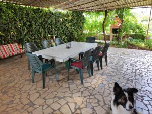 a dog sitting in front of a table and chairs at Apartmani David in Pula