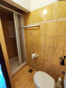 a bathroom with a toilet and a shower at Apartmani David in Pula