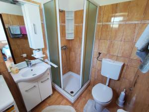 a bathroom with a shower and a toilet and a sink at Apartmani David in Pula