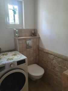 een badkamer met een toilet en een wasmachine bij Maisonnette Zen in Varages