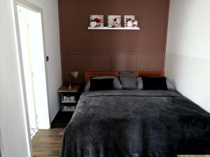 ein Schlafzimmer mit einem großen Bett mit zwei Bildern an der Wand in der Unterkunft Apartmány RŮŽIČKA in Mikulov