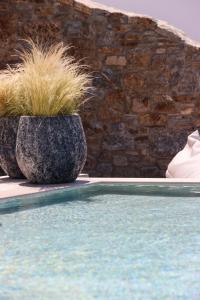 A piscina localizada em Life Suites ou nos arredores