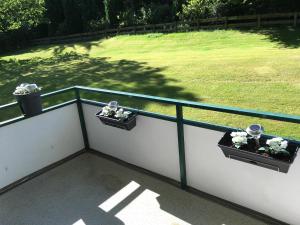 two plants on a balcony with a field of grass at Apartment Kleeblatt in Hahnenklee-Bockswiese +14 photos