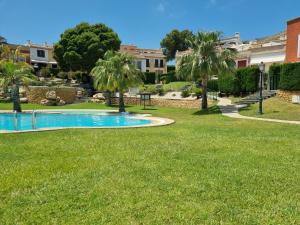 - une piscine dans un parc planté d'herbes et de palmiers dans l'établissement Casablanca, House Near Benidorm, à Finestrat 25 autres photos
