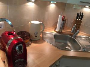 a kitchen counter with a sink and a toaster at Apartment Kleeblatt in Hahnenklee-Bockswiese