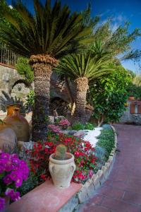 a garden with two palm trees and flowers at Villa Paradiso in Ischia